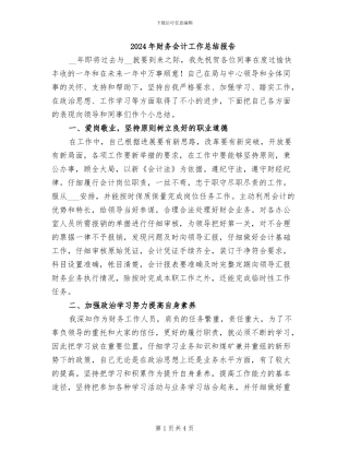 2024年财务会计工作总结报告