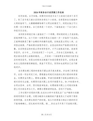 2024年财务会计试用期工作总结
