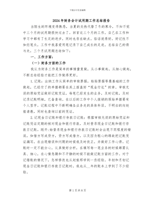 2024年财务会计试用期工作总结报告