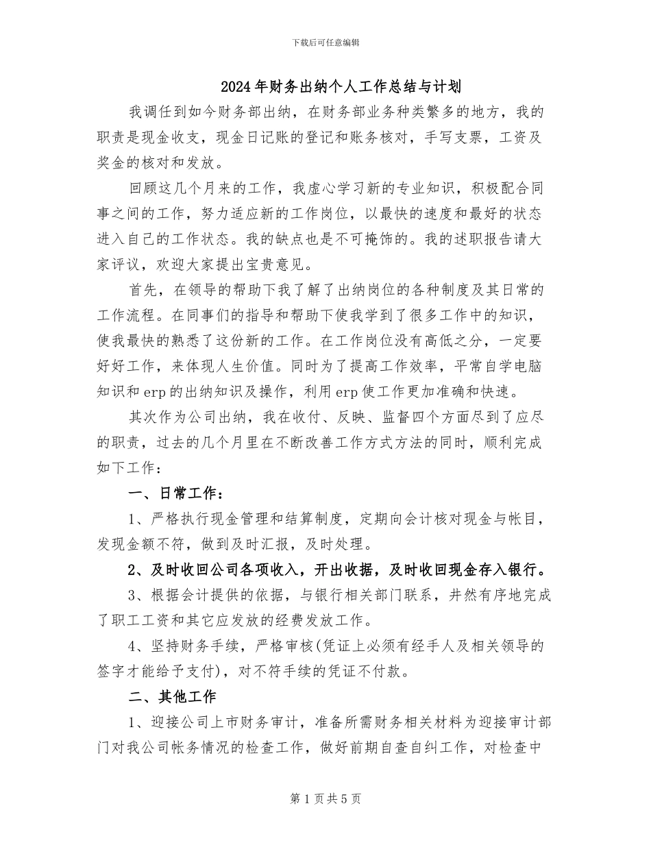 2024年财务出纳个人工作总结与计划_第1页