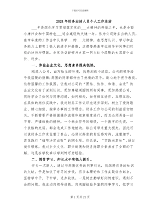 2024年财务出纳人员个人工作总结