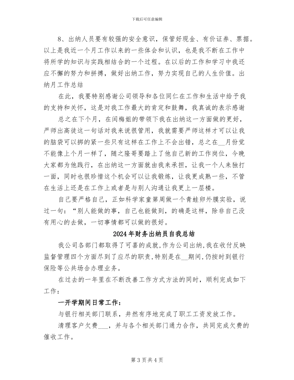 2024年财务出纳员工作总结_第3页