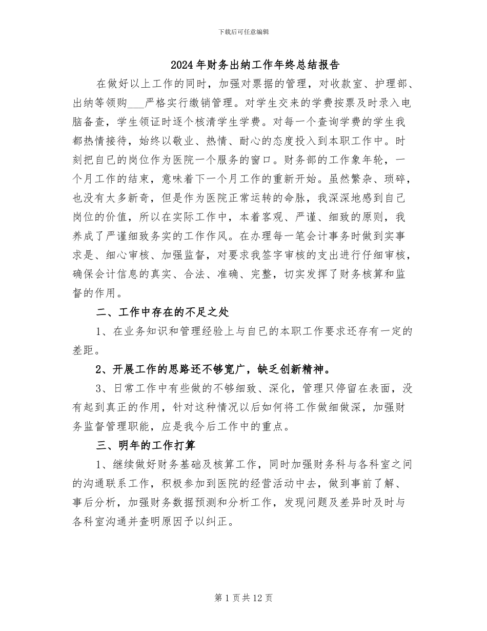 2024年财务出纳工作年终总结报告_第1页