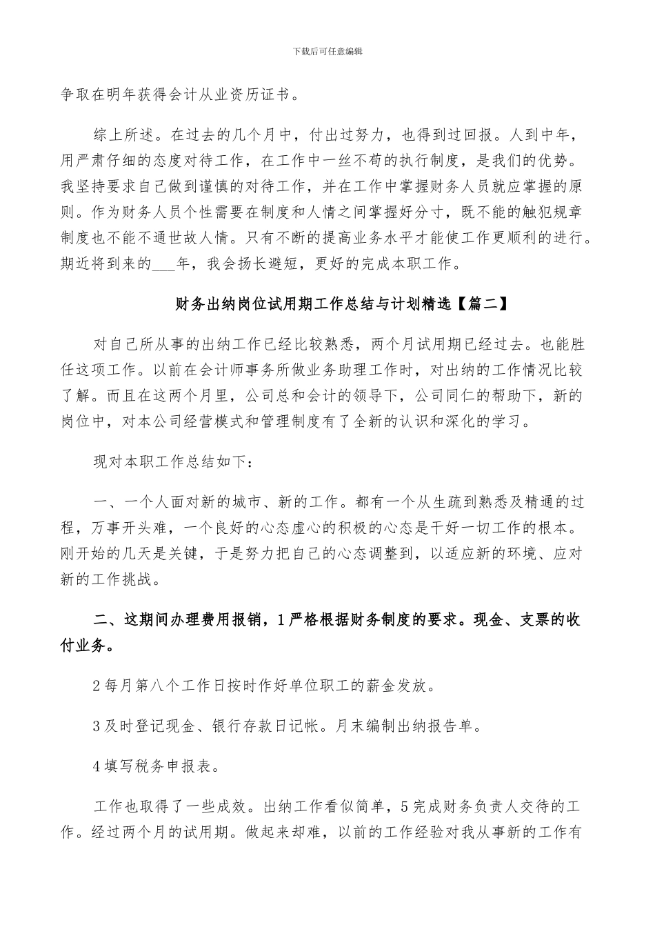 2024年财务出纳岗位试用期工作总结与计划_第2页