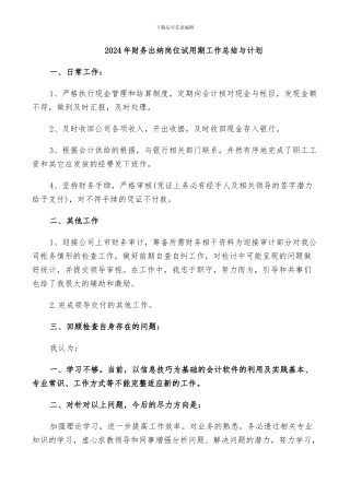 2024年财务出纳岗位试用期工作总结与计划
