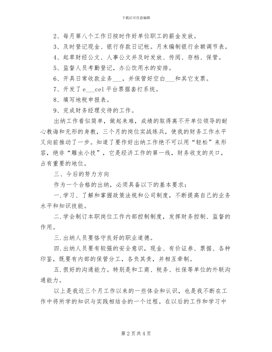 2024年财务出纳试用期工作总结范文_第2页