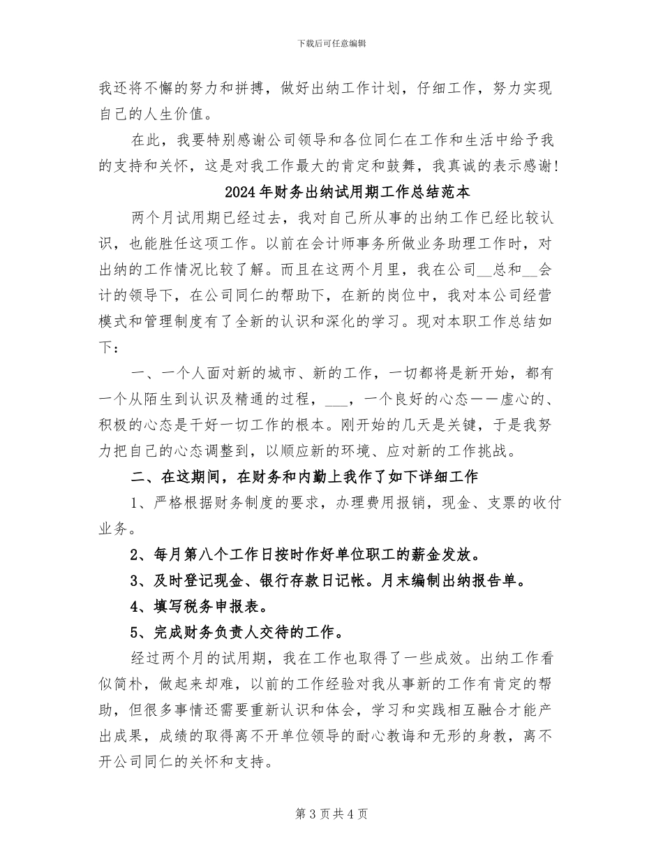 2024年财务出纳试用期工作总结范文_第3页