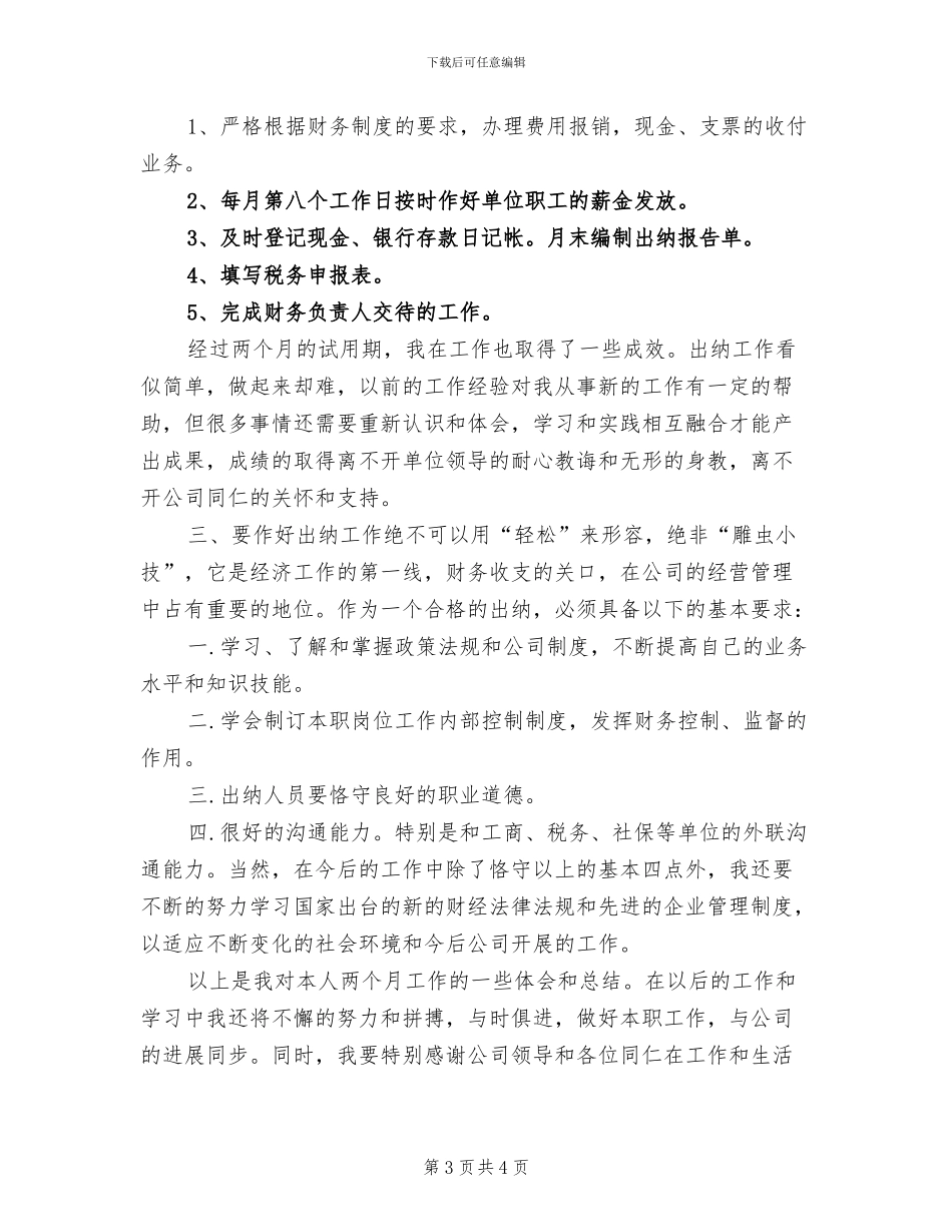 2024年财务出纳试用期转正工作总结_第3页