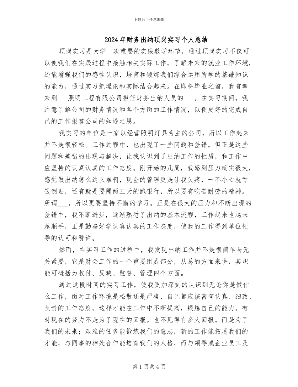 2024年财务出纳顶岗实习个人总结_第1页