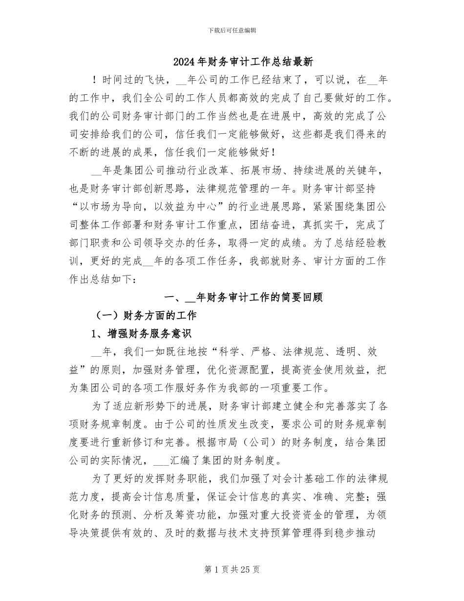 2024年财务审计工作总结最新_第1页