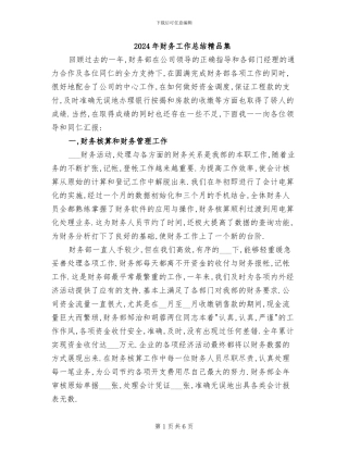 2024年财务工作总结精品集