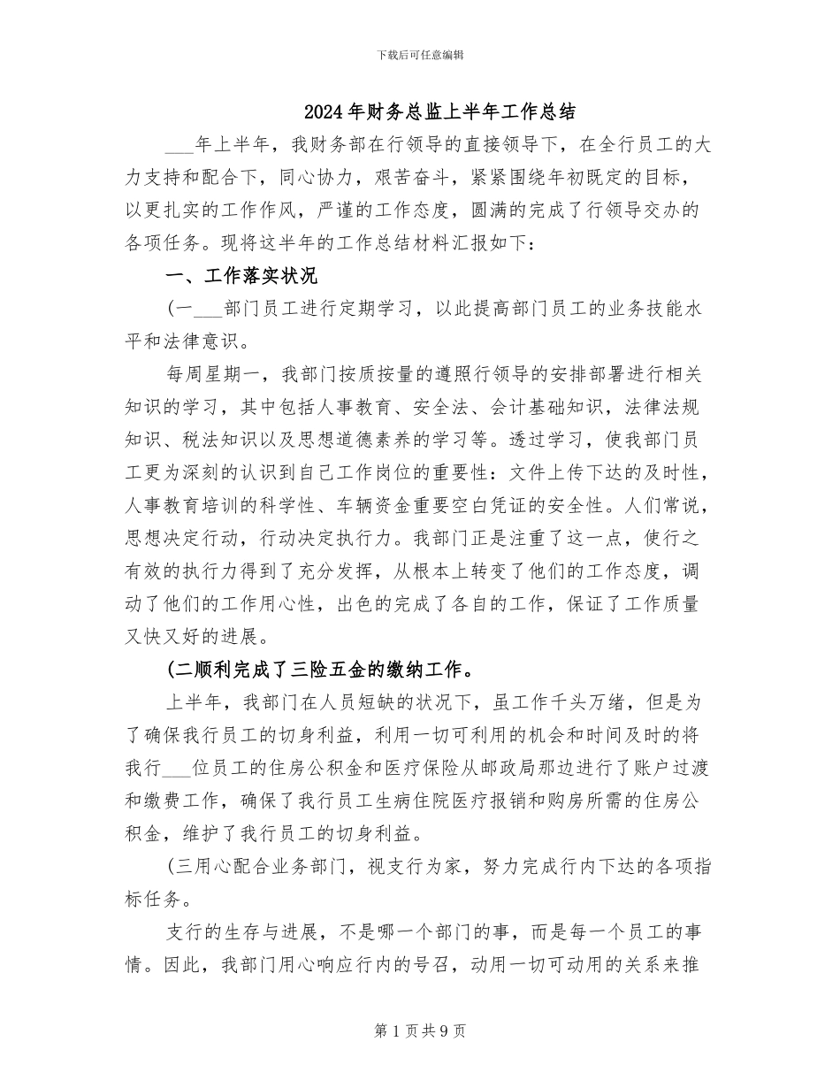 2024年财务总监上半年工作总结_第1页