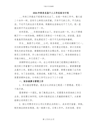 2024年财务总监个人工作总结与计划