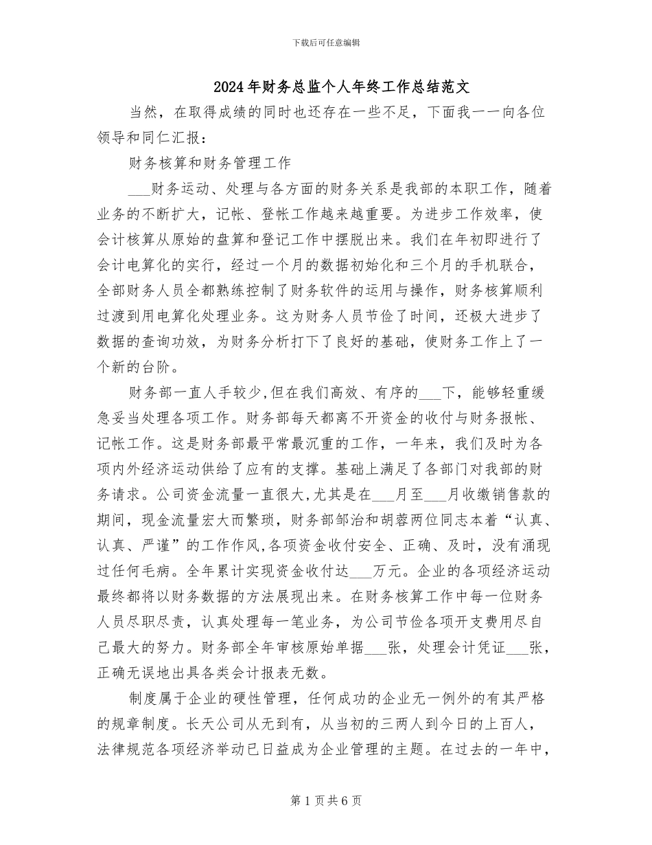 2024年财务总监个人年终工作总结范文_第1页