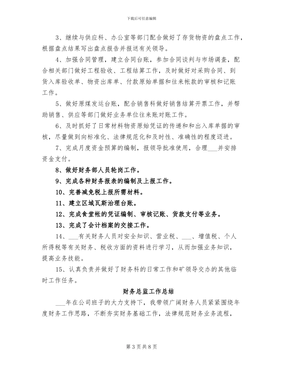 2024年财务总监办工作总结_第3页