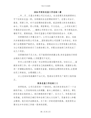 2024年财务总监工作总结二篇
