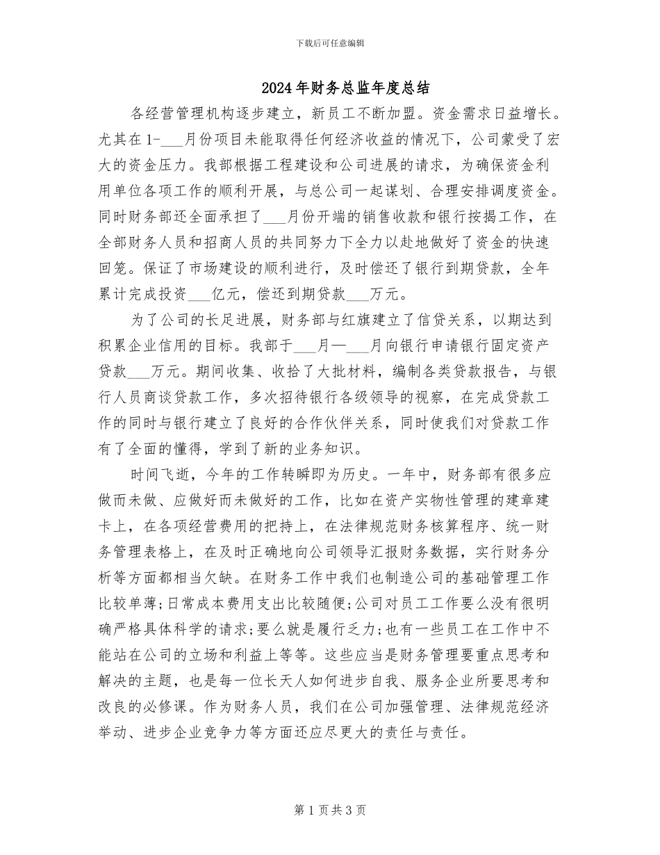 2024年财务总监年度总结_第1页