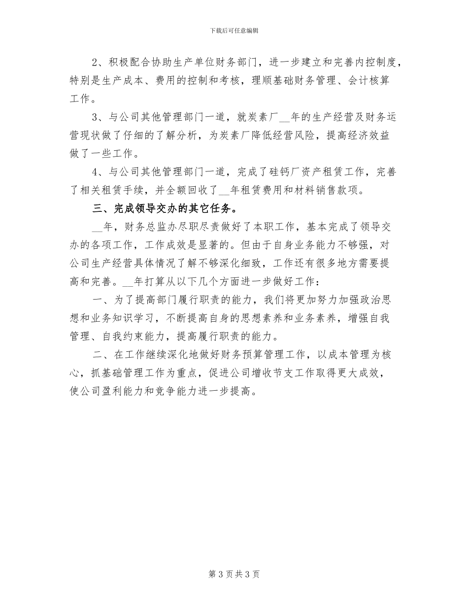2024年财务总监年度总结_第3页
