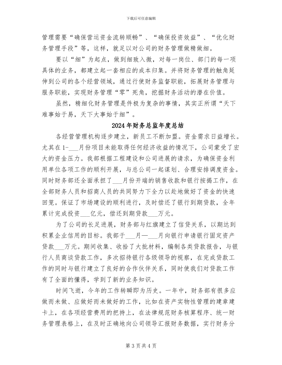 2024年财务总监年度工作总结_第3页