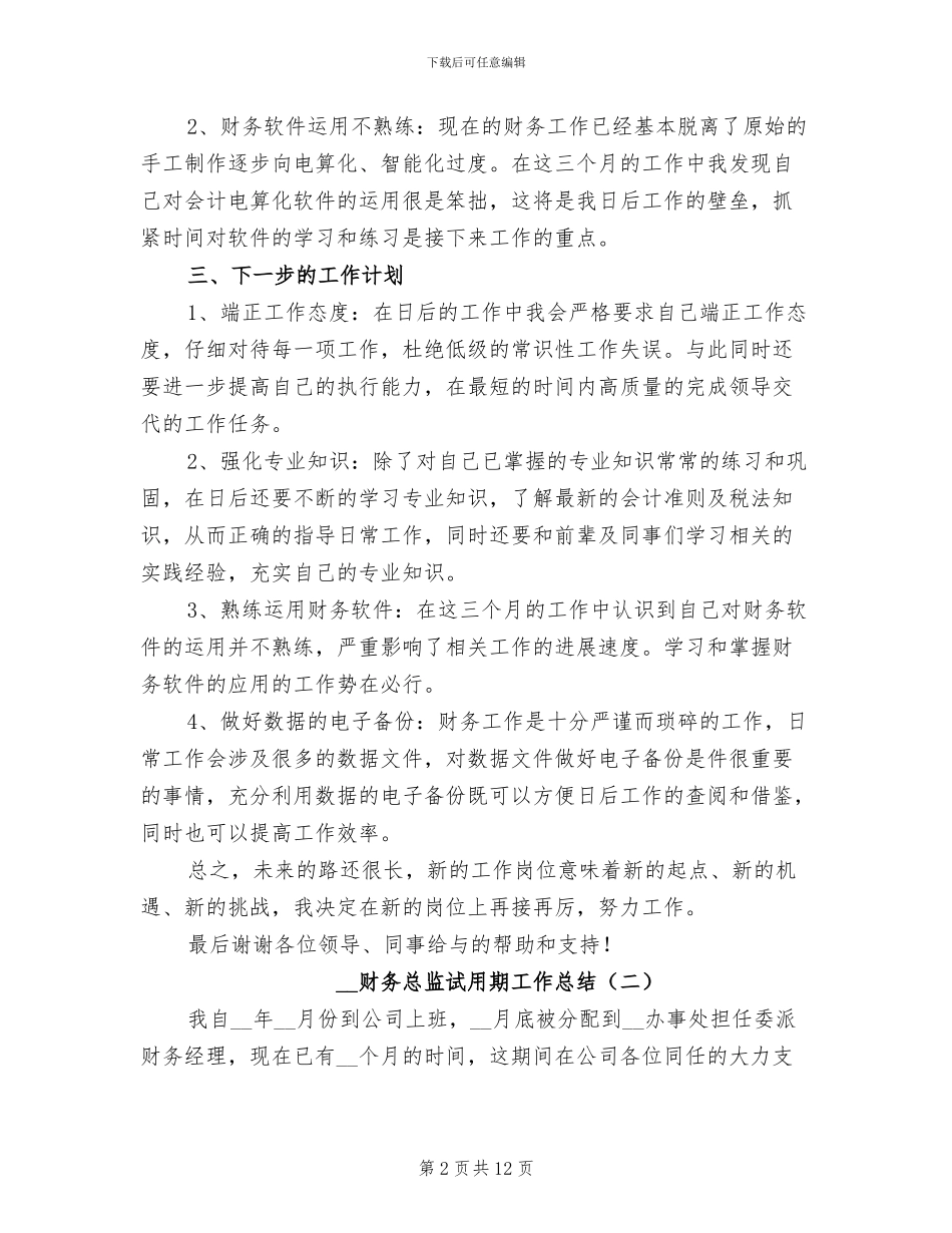 2024年财务总监试用期工作总结_第2页