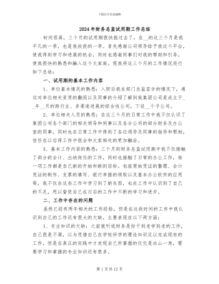 2024年财务总监试用期工作总结