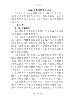 2024年财务的试用期工作总结