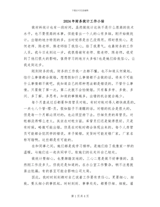 2024年财务统计工作小结