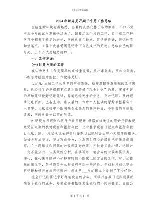 2024年财务见习期三个月工作总结