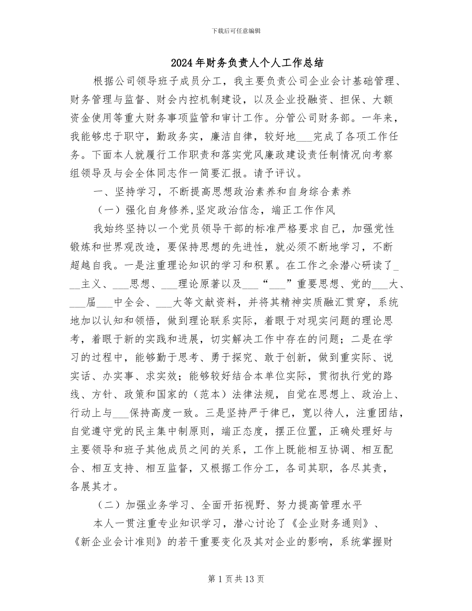 2024年财务负责人个人工作总结_第1页