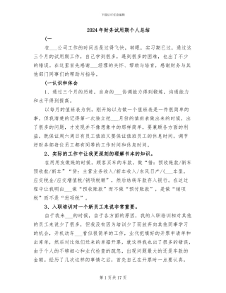 2024年财务试用期个人总结