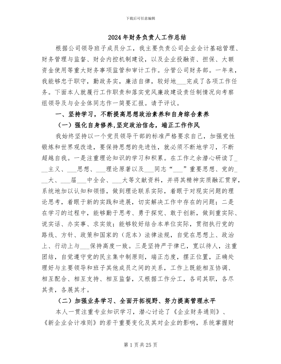 2024年财务负责人工作总结_第1页