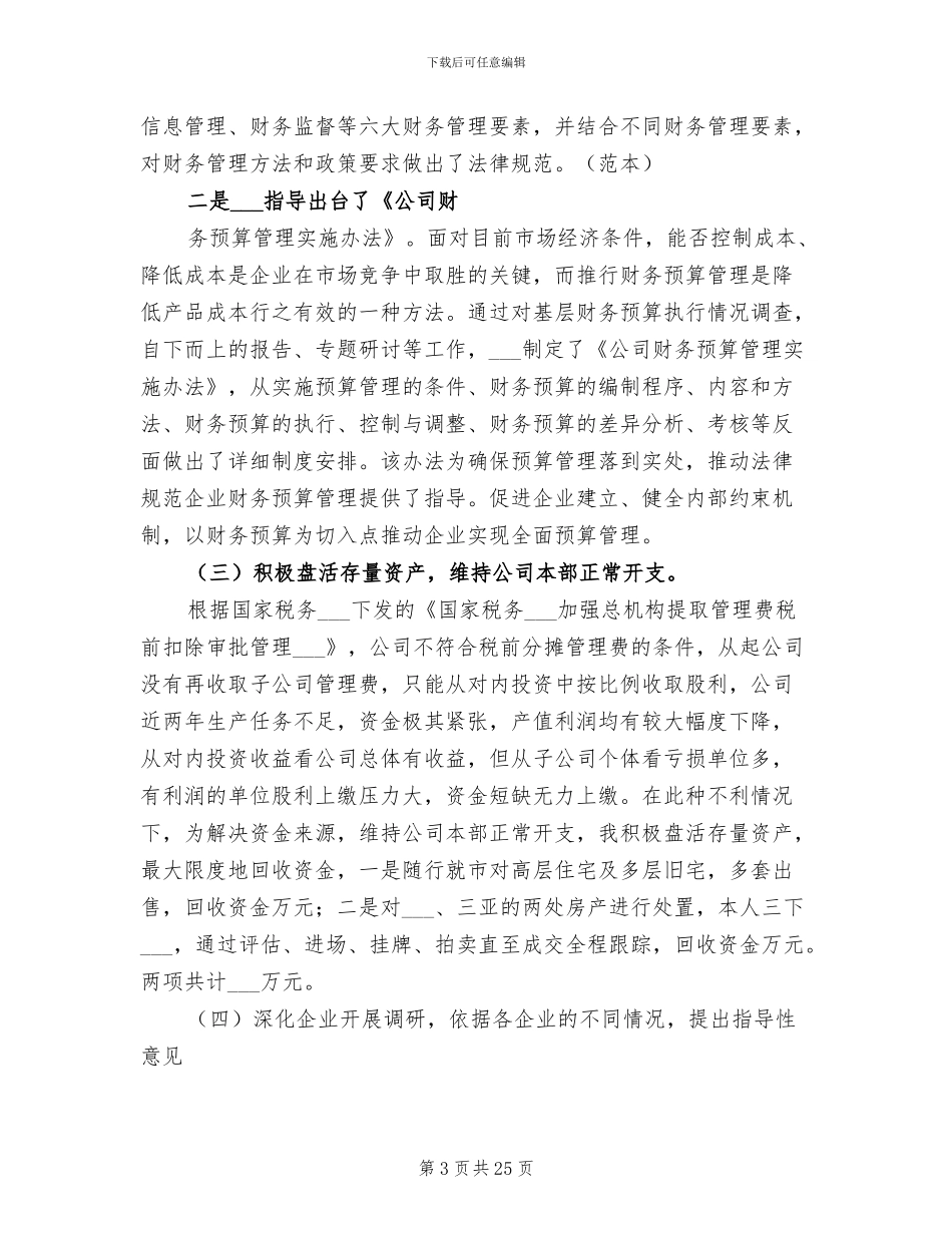 2024年财务负责人工作总结_第3页