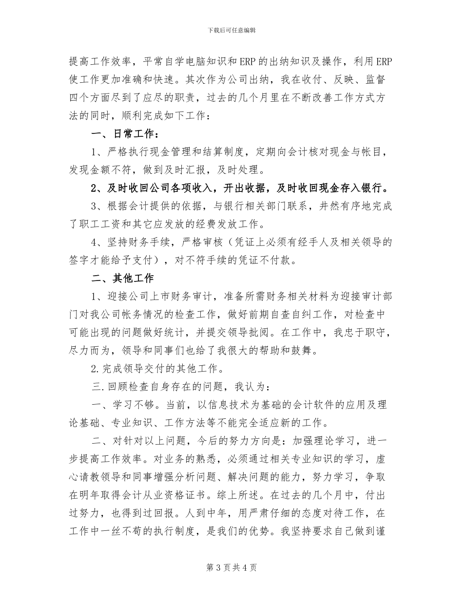 2024年财务部出纳工作小结_第3页