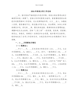2024年财政分局工作总结
