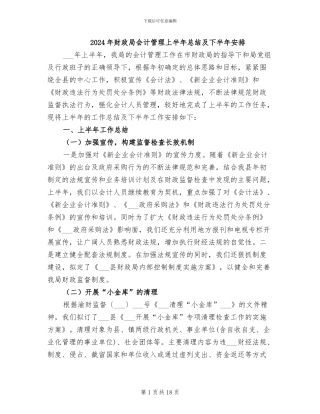 2024年财政局会计管理上半年总结及下半年安排