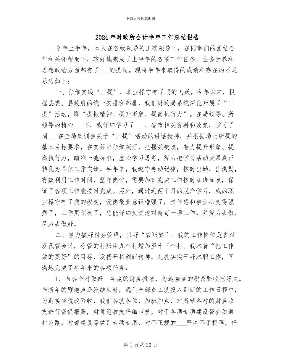 2024年财政所会计半年工作总结报告_第1页