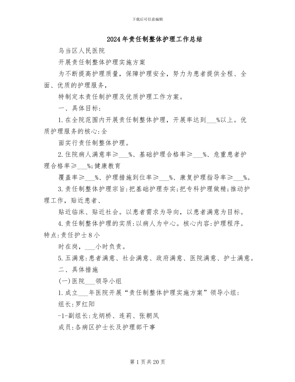 2024年责任制整体护理工作总结_第1页