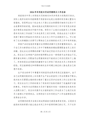 2024年车间技术员试用期转正工作总结
