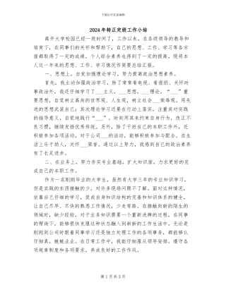 2024年转正定级工作小结