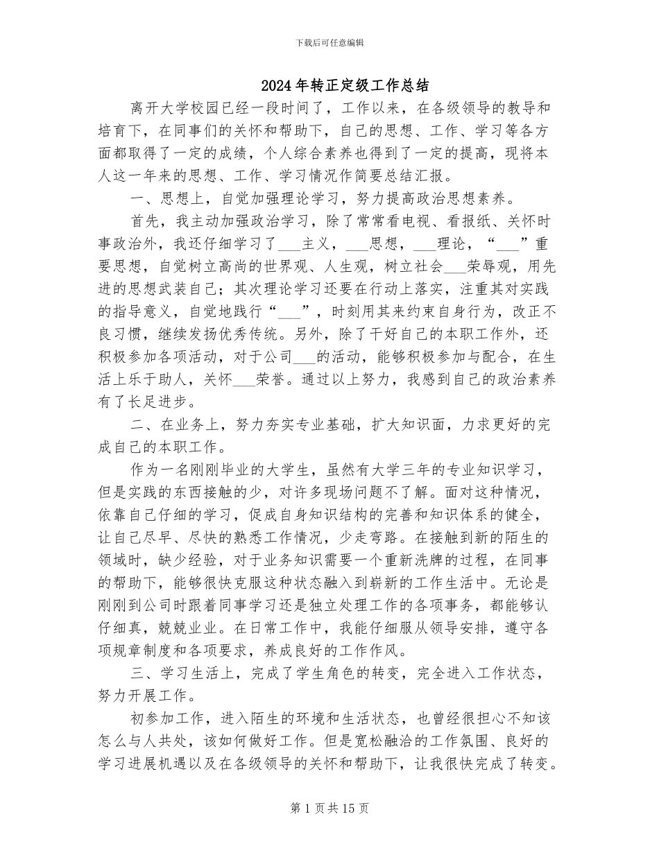 2024年转正定级工作总结_第1页