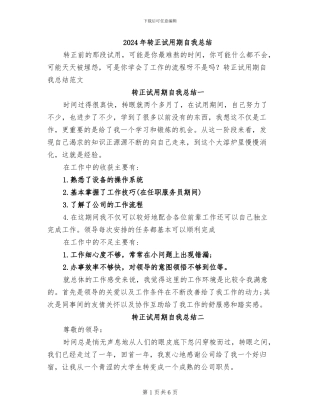 2024年转正试用期自我总结