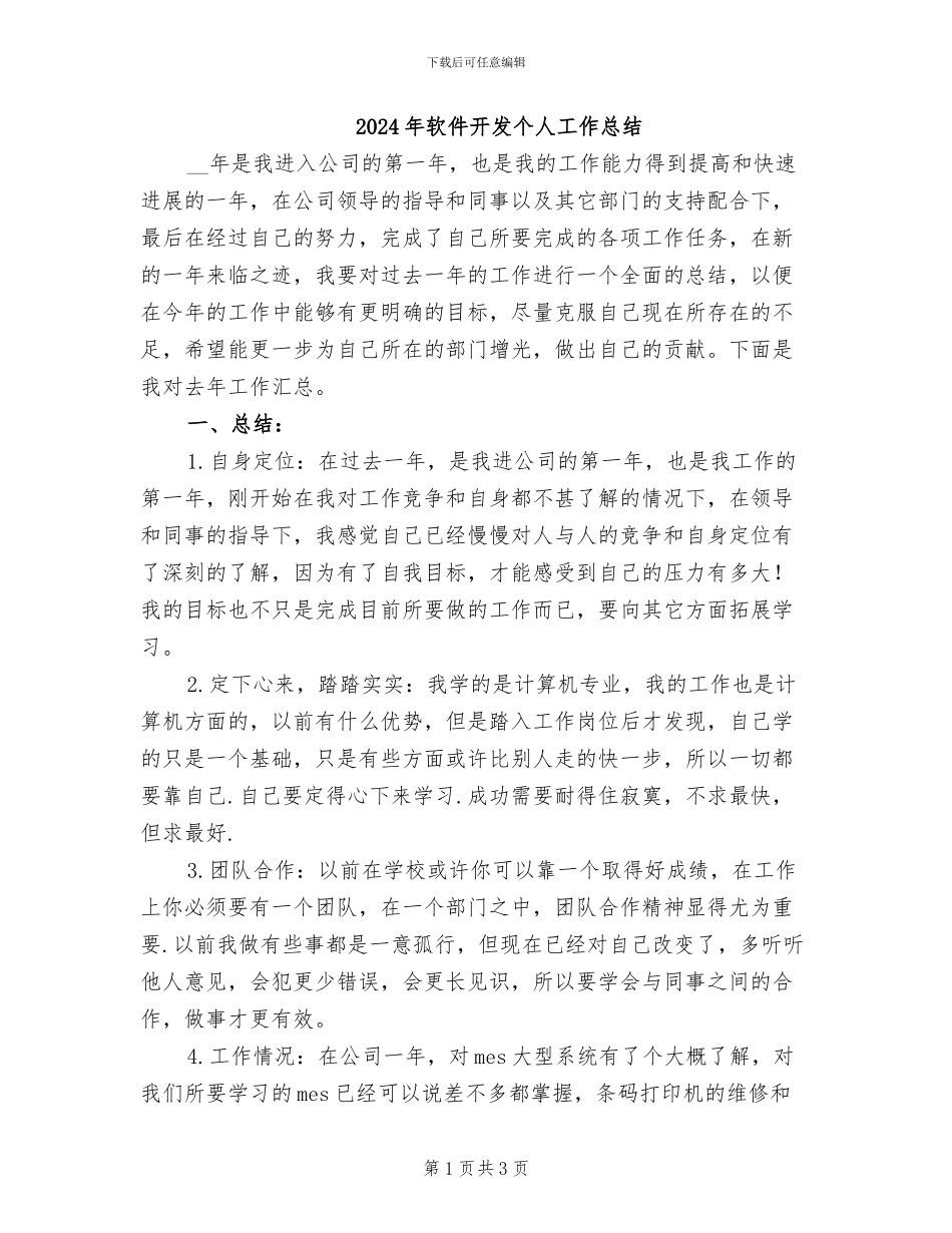 2024年软件开发个人工作总结_第1页