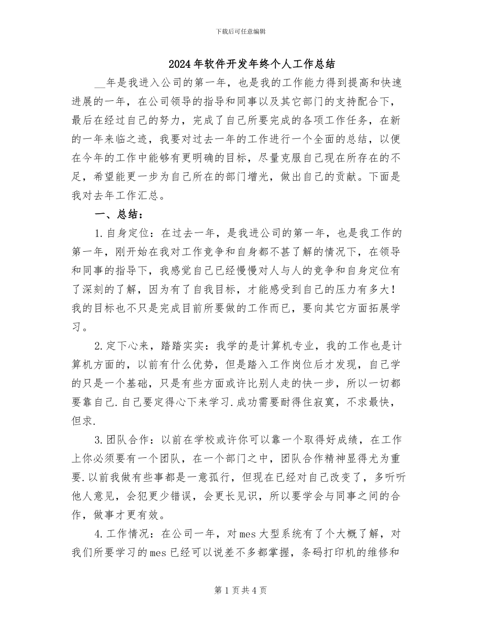 2024年软件开发年终个人工作总结_第1页