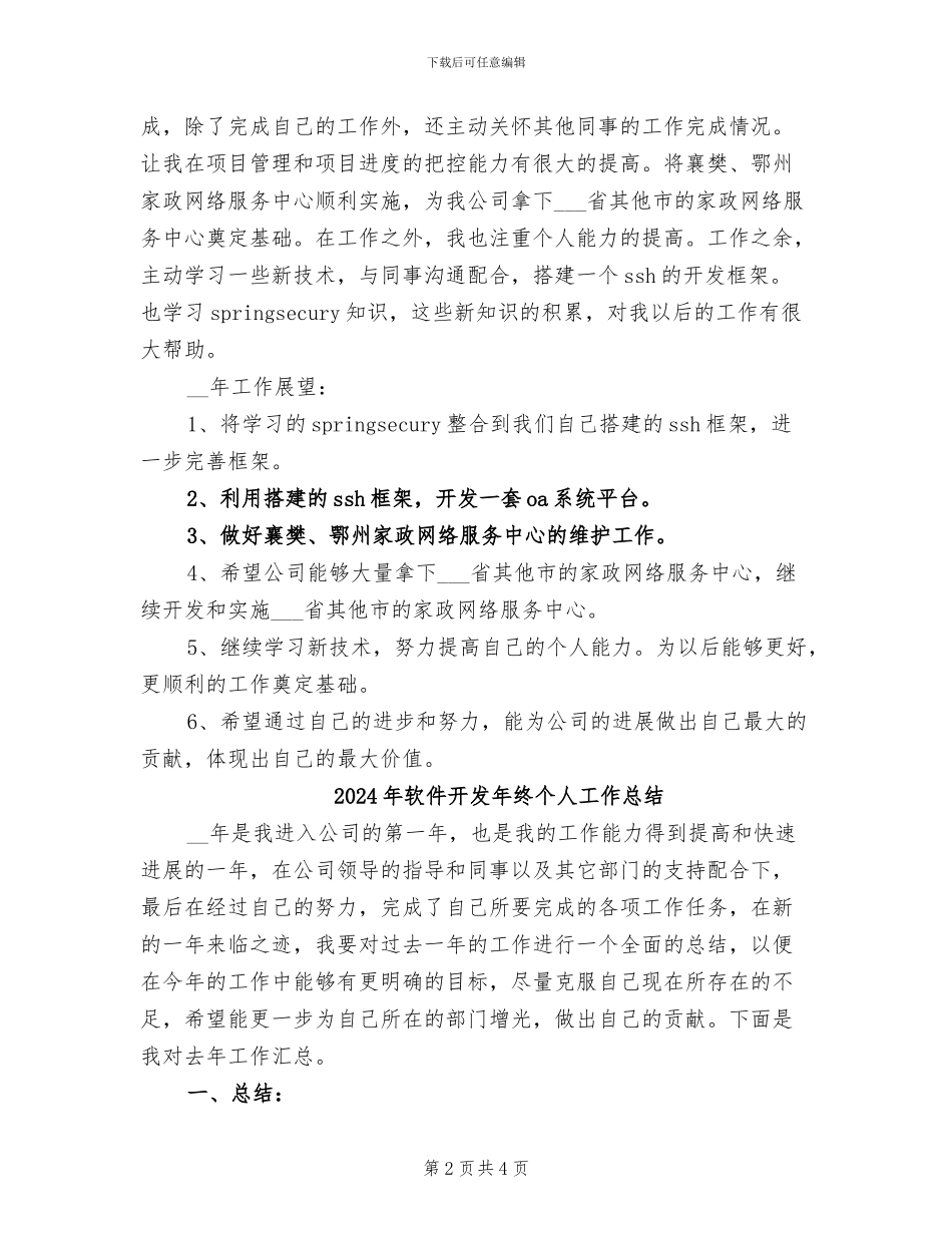 2024年软件开发年度工作总结_第2页