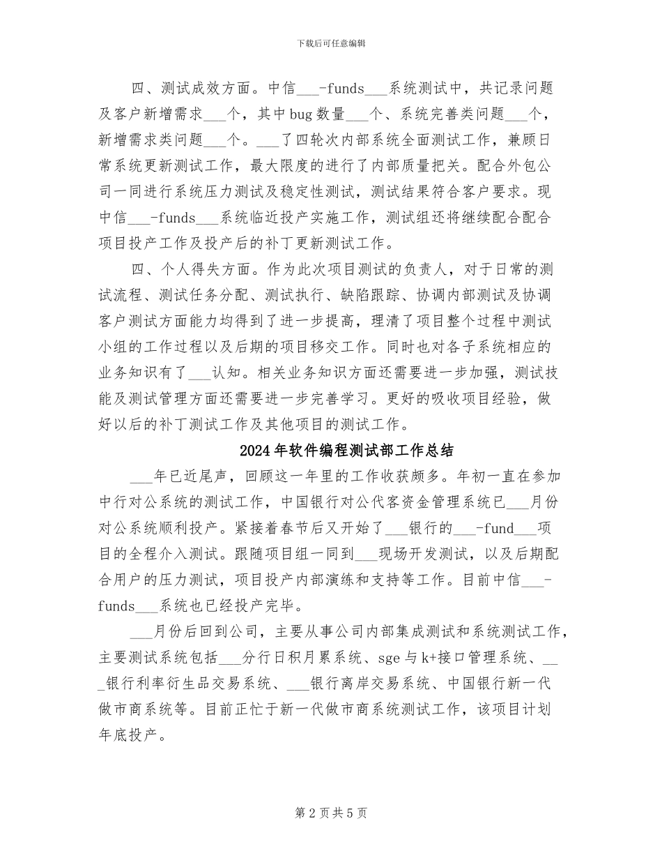 2024年软件系统项目工作总结_第2页