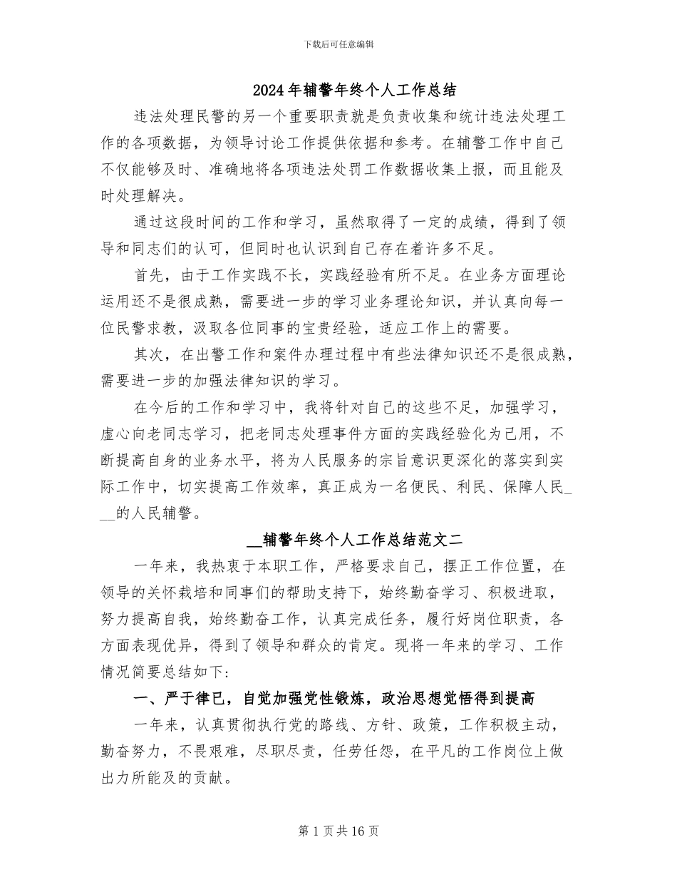 2024年辅警年终个人工作总结_第1页