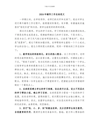 2024年辅导工作总结范文
