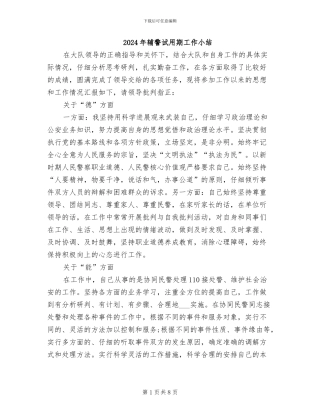 2024年辅警试用期工作小结