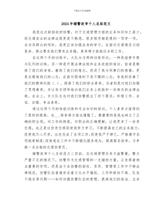 2024年辅警政审个人总结范文