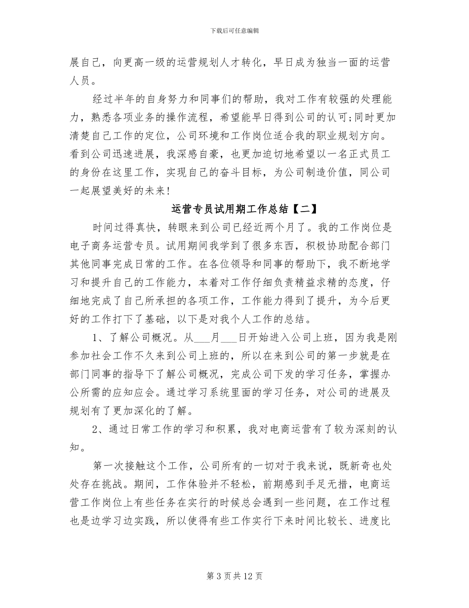 2024年运维工程师试用期工作总结范文_第3页